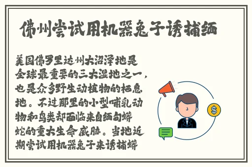 一夜未了情快播